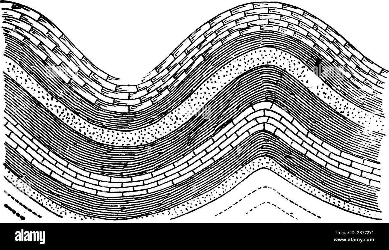 The syncline, downfolding of the strata in the form of a trough, as at a; an anticline is an upfolding of the strata in the form of an arch, as at b, Stock Vector