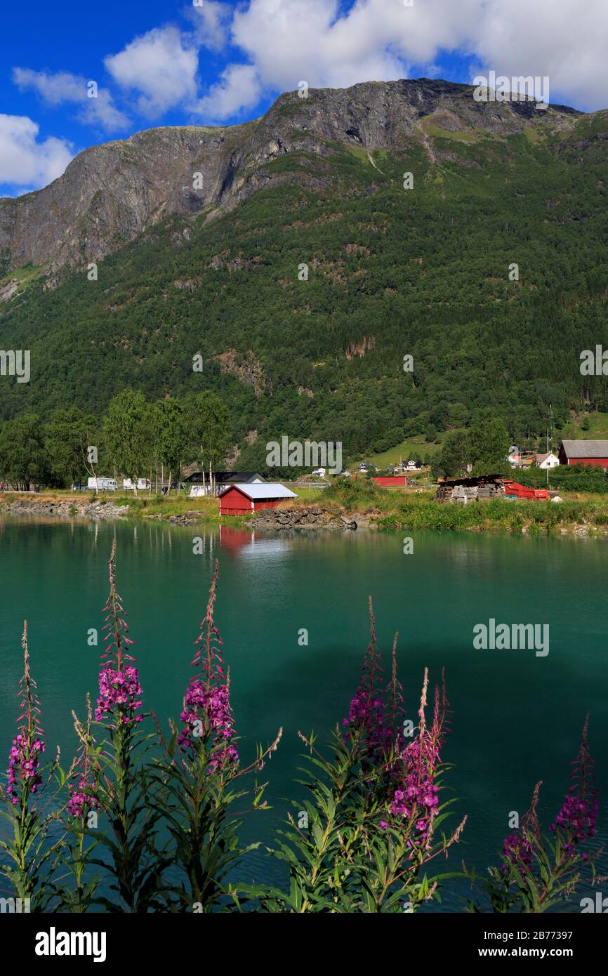 Farm along Floane River, Skjolden Village, Sognefjord, Sogn og Fjordane County, Norway Stock Photo