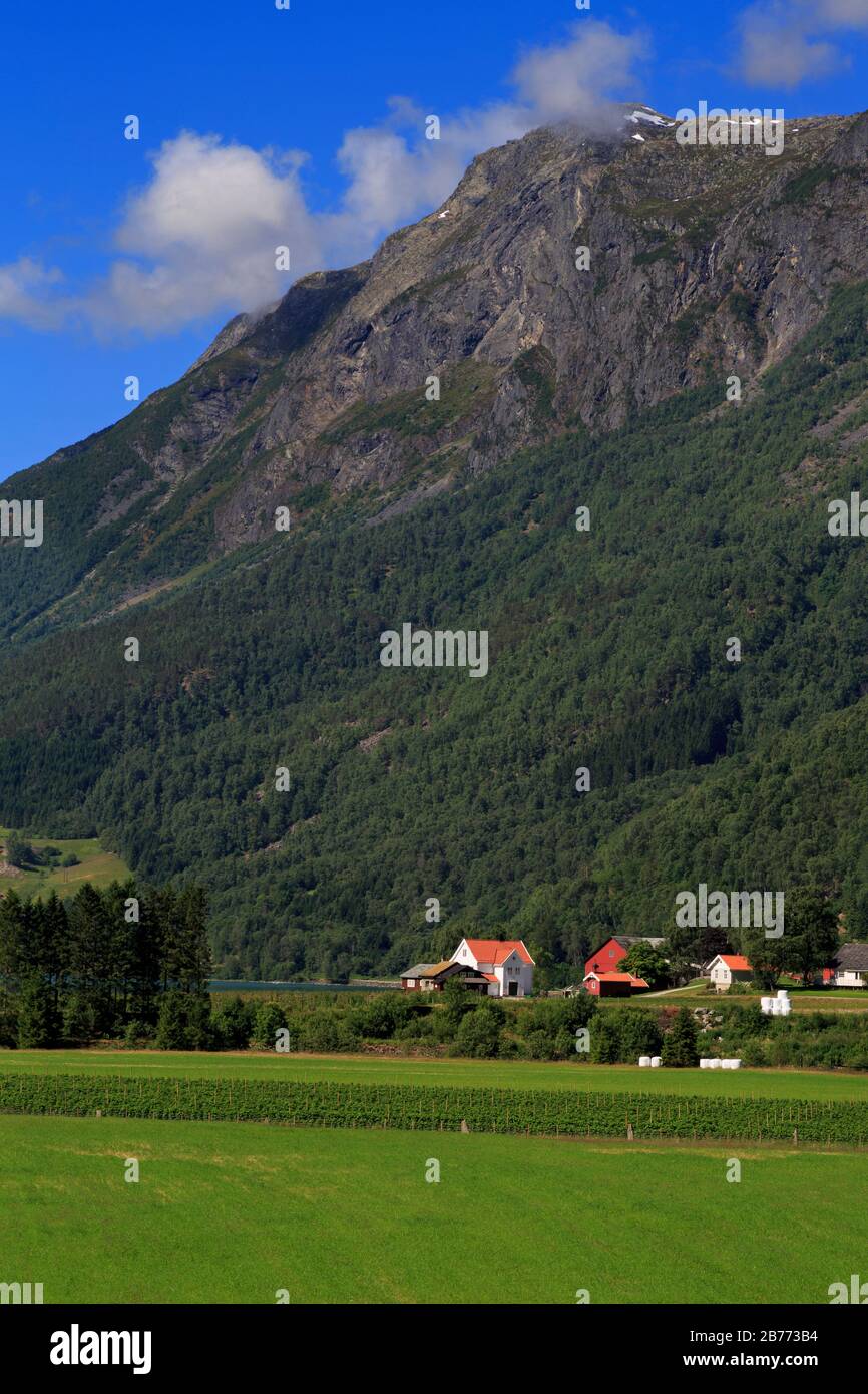 Farm, Skjolden Village, Sognefjord, Sogn og Fjordane County, Norway Stock Photo