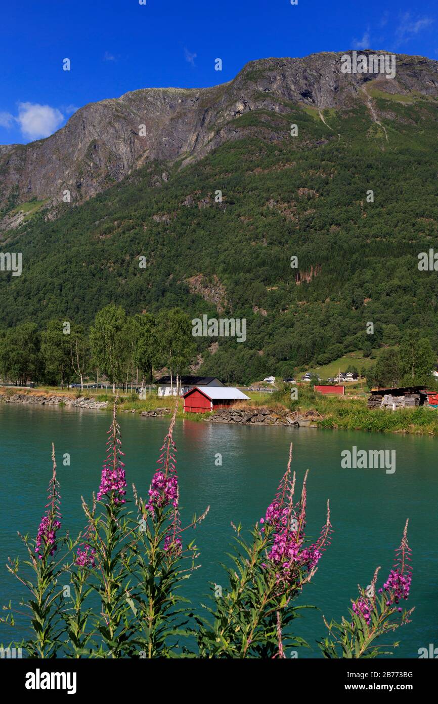 Farm along Floane River, Skjolden Village, Sognefjord, Sogn og Fjordane County, Norway Stock Photo