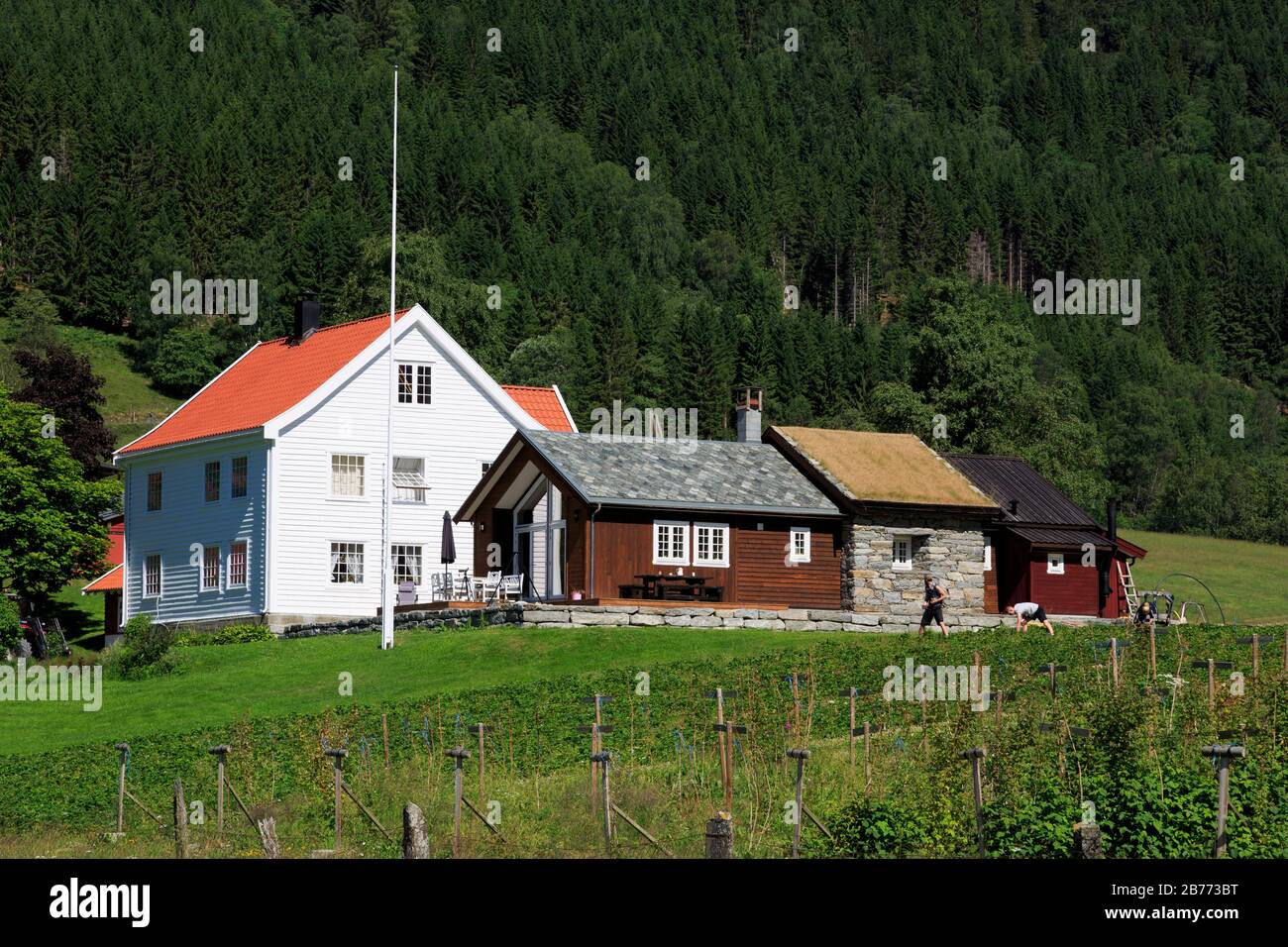 Hague Farm, Skjolden Village, Sognefjord, Sogn og Fjordane County, Norway Stock Photo