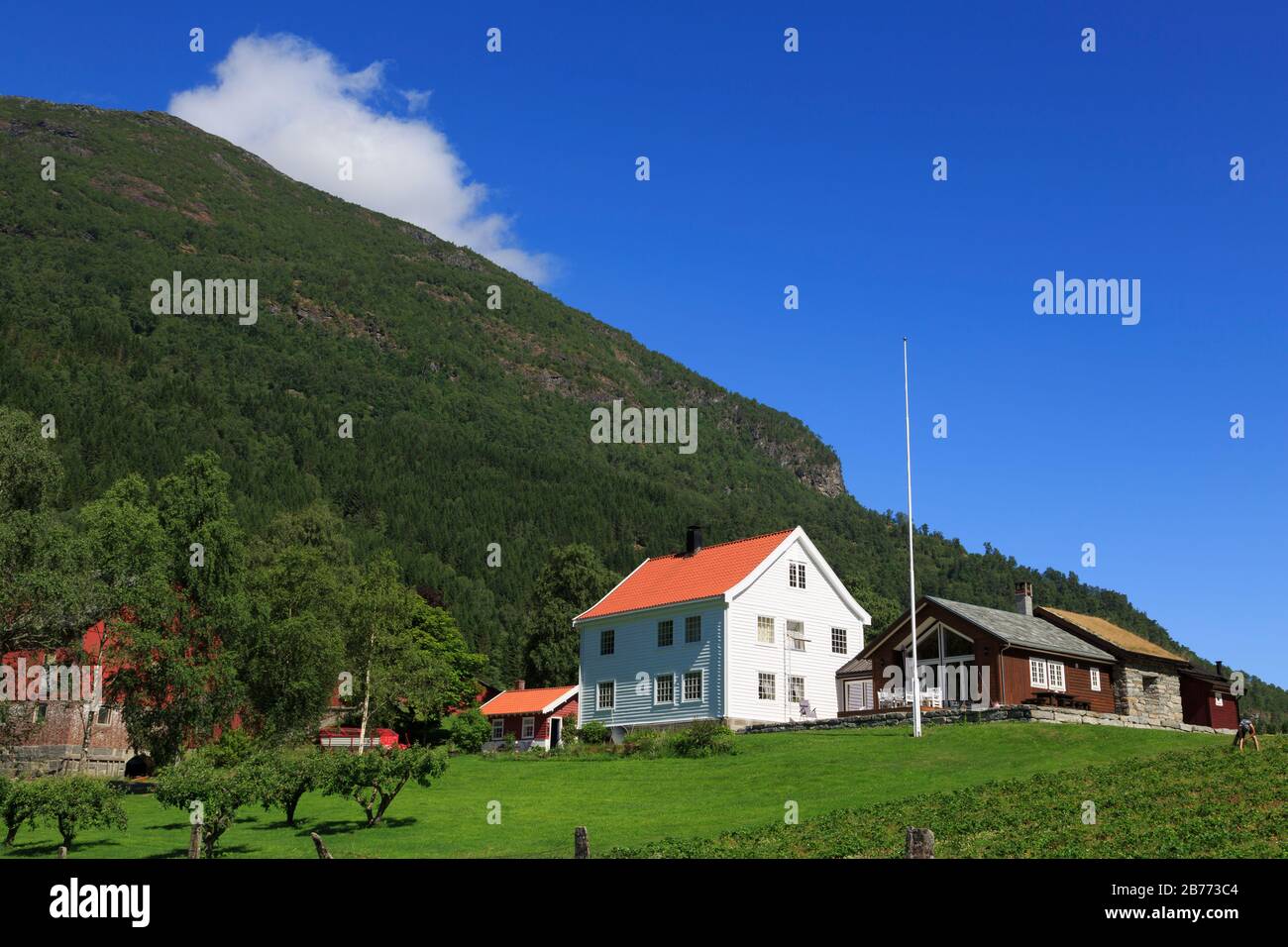Hague Farm, Skjolden Village, Sognefjord, Sogn og Fjordane County, Norway Stock Photo