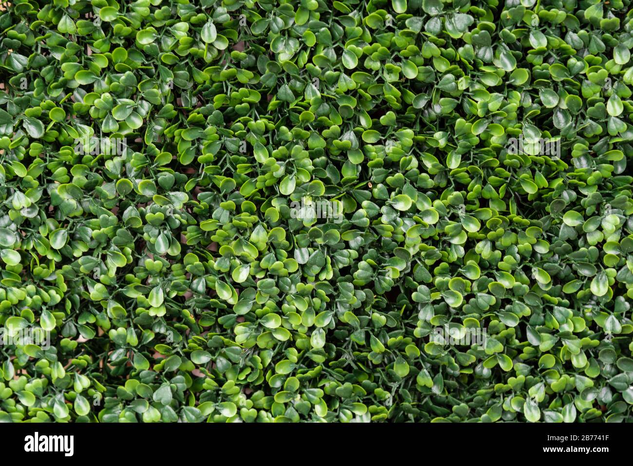 Green plastic grass background for graphic design Stock Photo
