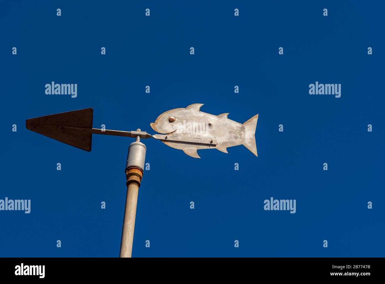 Metalic vane with the shape of a fish with a clean blue sky background Stock Photo