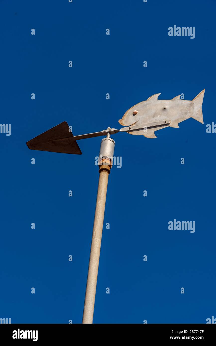 Metalic vane with the shape of a fish with a clean blue sky background Stock Photo