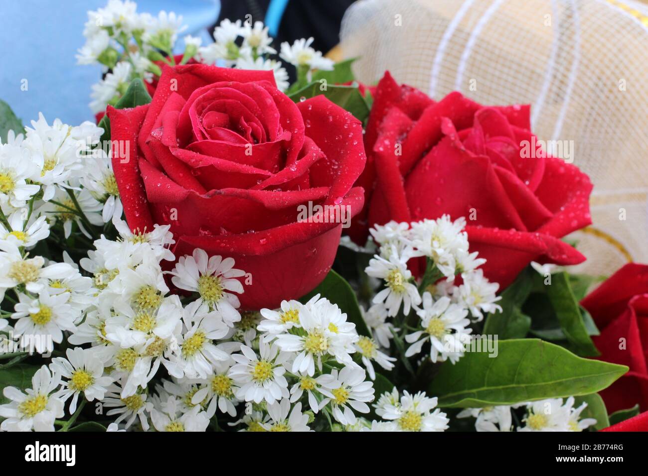 Roes bouquet hi-res stock photography and images - Alamy