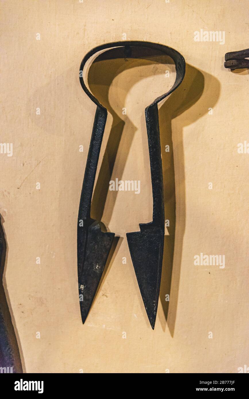 Scissors for shearing animals on a yellow background Stock Photo