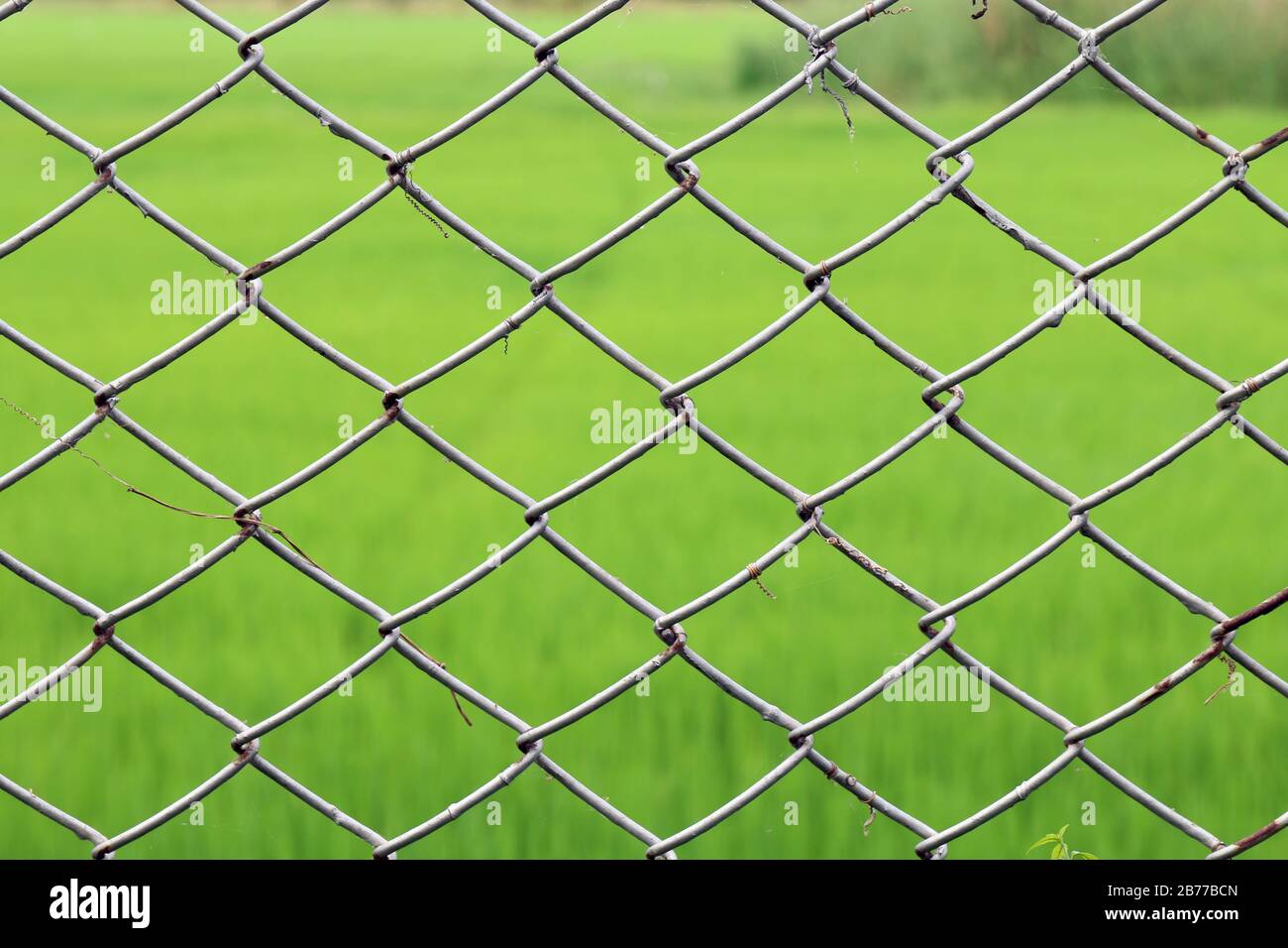 Metal netting, Mesh fence iron Rusty barbed wire detention center