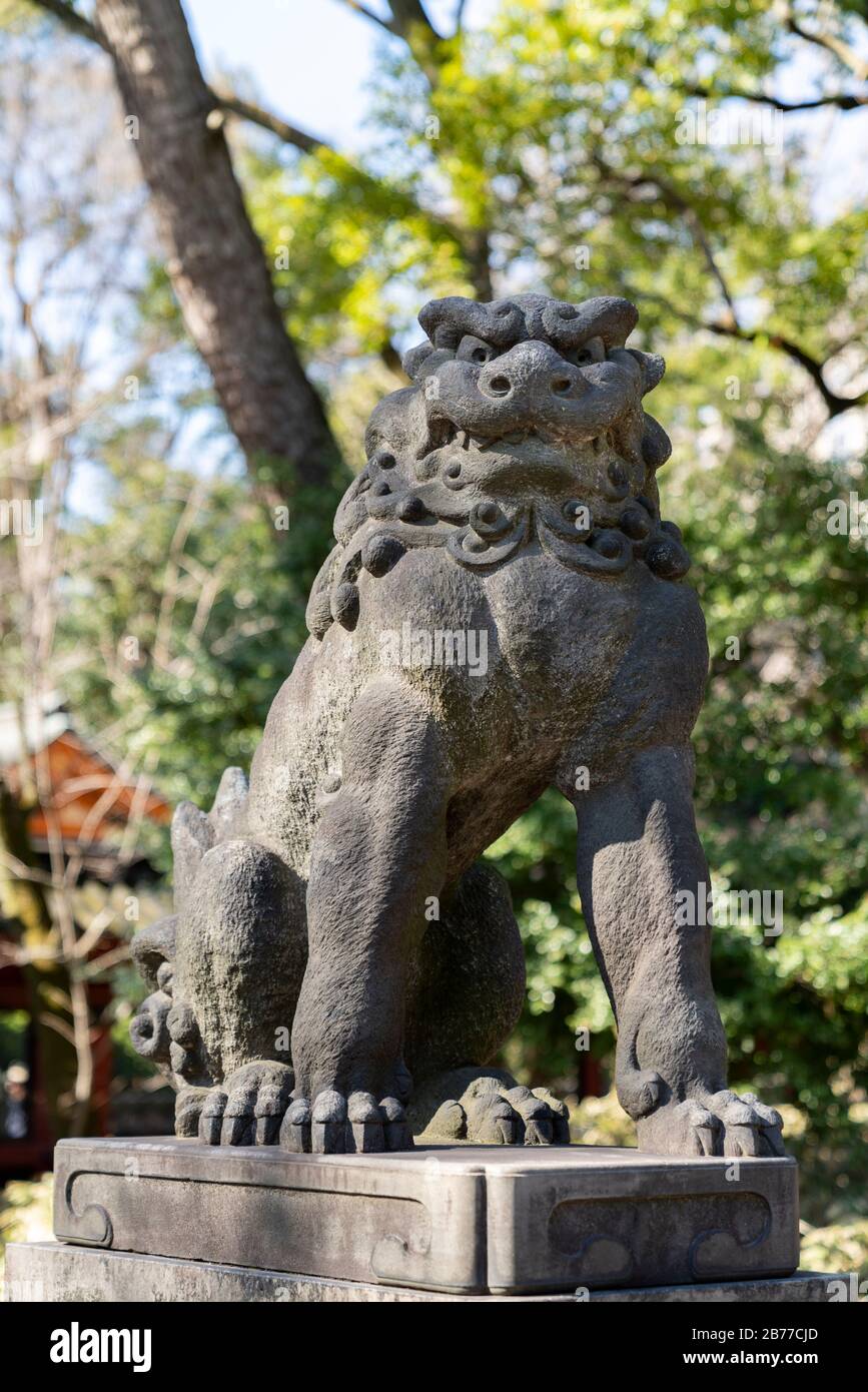 Guardian Lion, Nezu Shrine, Bunkyo-Ku, Tokyo, Japan Stock Photo