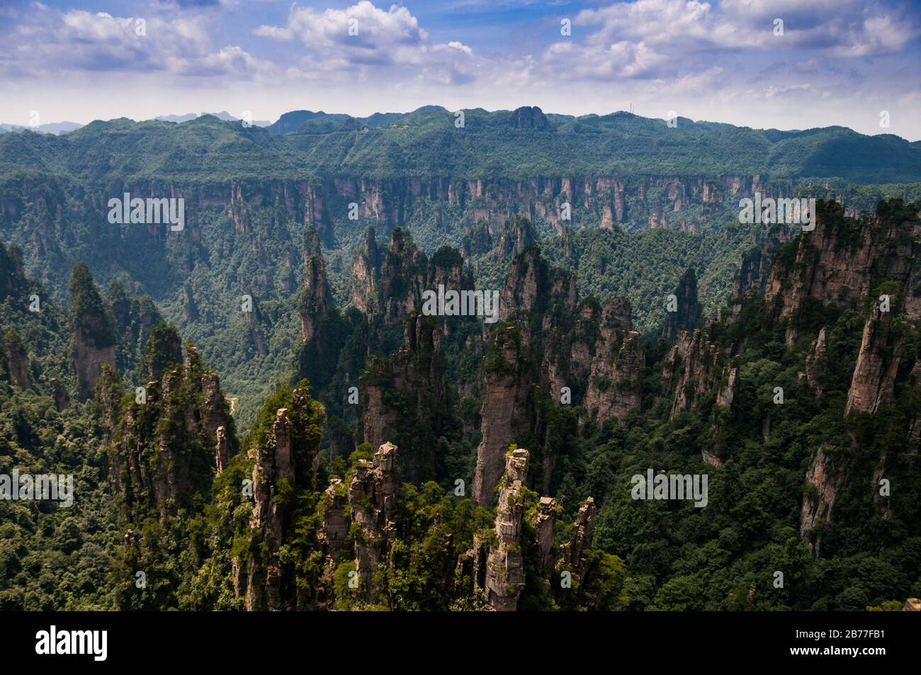Zhangjiajie Avatar Shooting Site Wulingyuan Scenic Area Mountain Forest  Background Forest Advertising Background Plant Background Image And  Wallpaper for Free Download