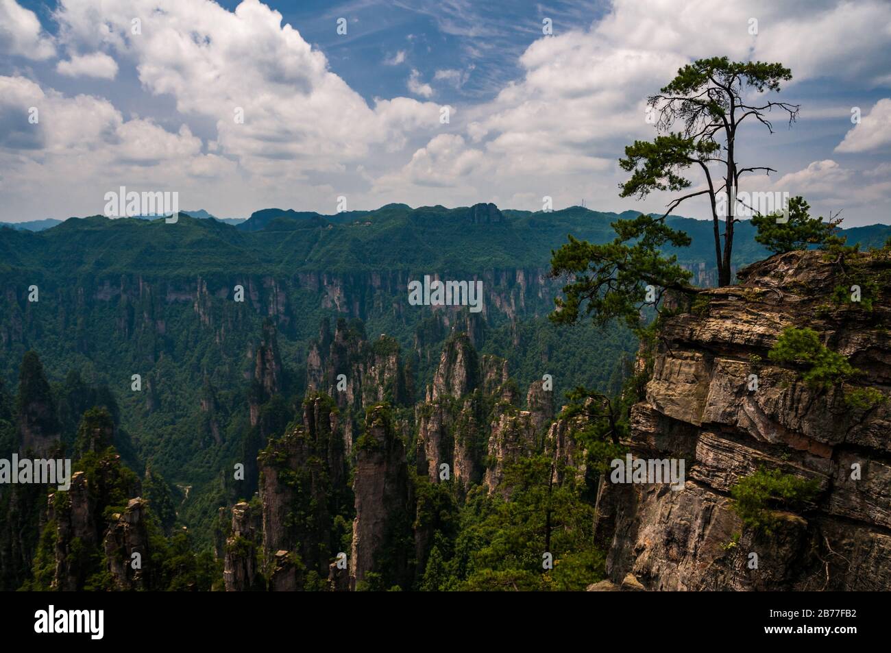 View in Wulingyuan Scenic and Historic Interest Area in Hunan Province  China The area was supposedly an inspiration for scenery in the Avatar  movie Stock Photo  Alamy