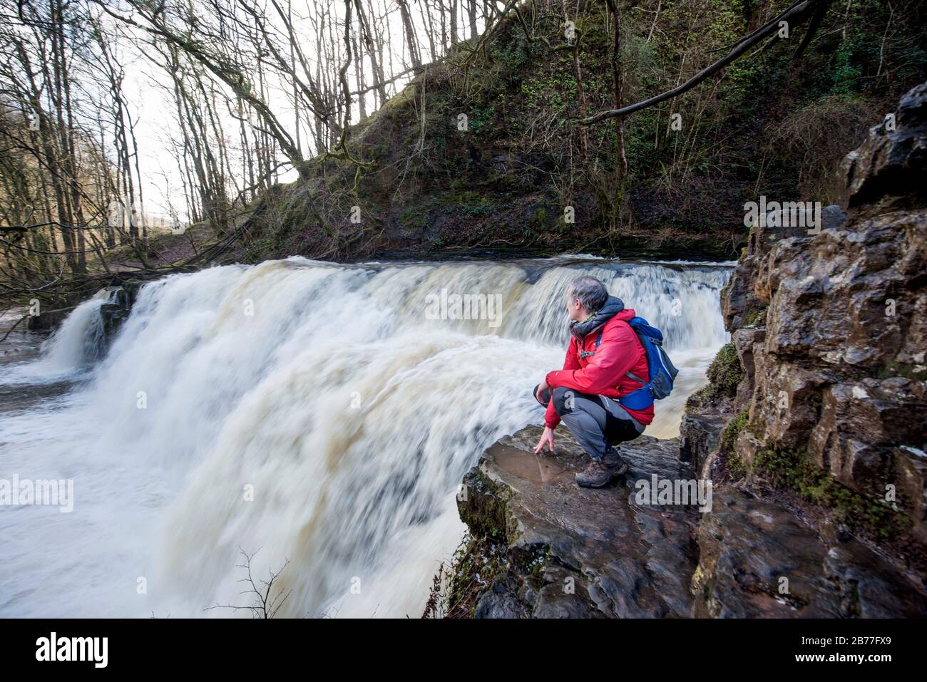 A walker watches the water flow on the River Mellte at the Sgwd y Pannwr falls near Pontneddfechan in the Brecon Beacons, Wales UK Stock Photo