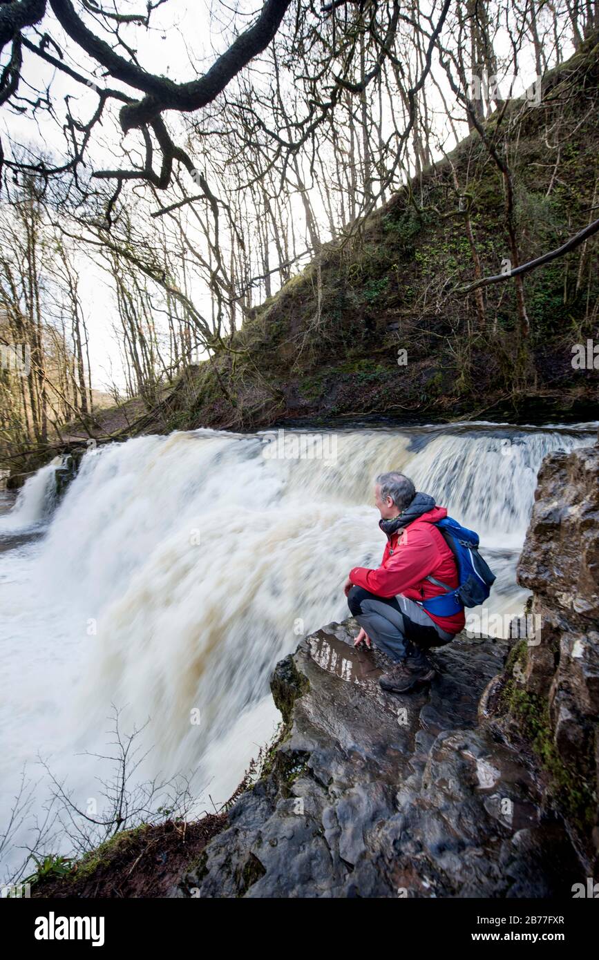 A walker watches the water flow on the River Mellte at the Sgwd y Pannwr falls near Pontneddfechan in the Brecon Beacons, Wales UK Stock Photo