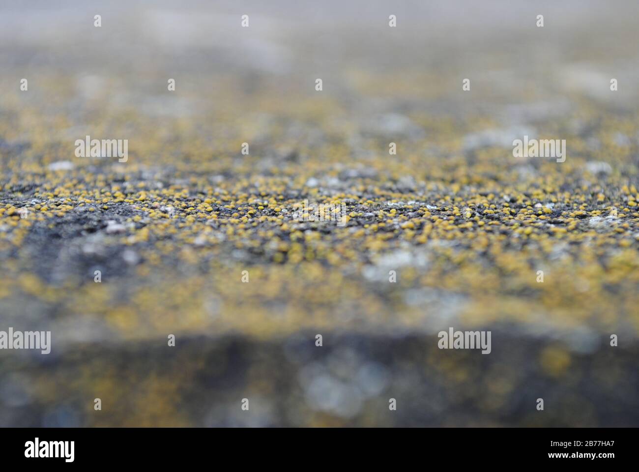 Close up on concrete and  yellow lichen Stock Photo