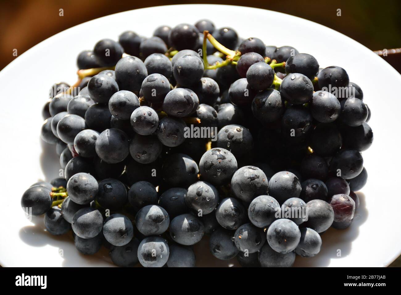 Grapes vineyard vine red leaves harvest black hi-res stock photography ...