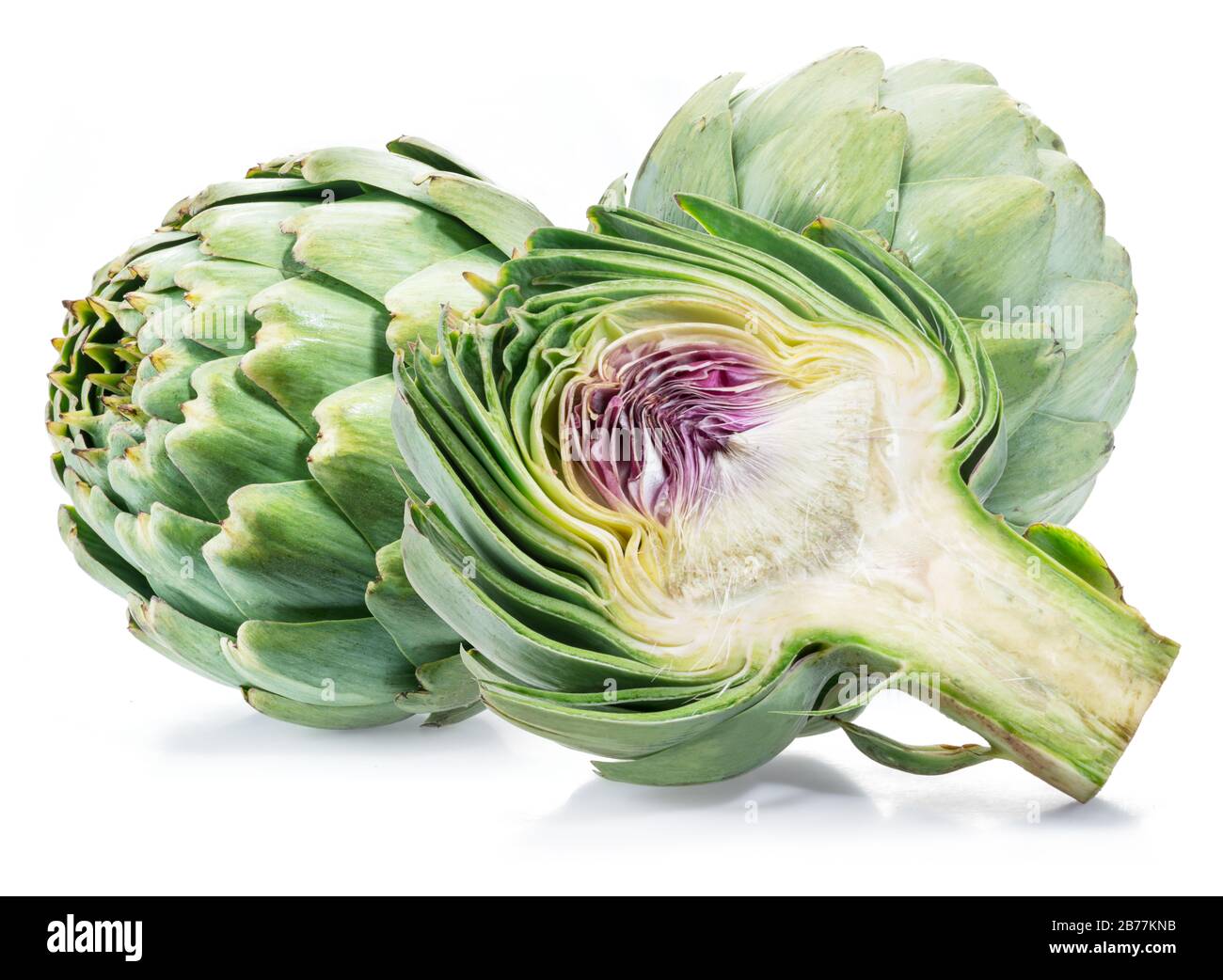 Artichoke flower edible buds isolated on white background Stock Photo