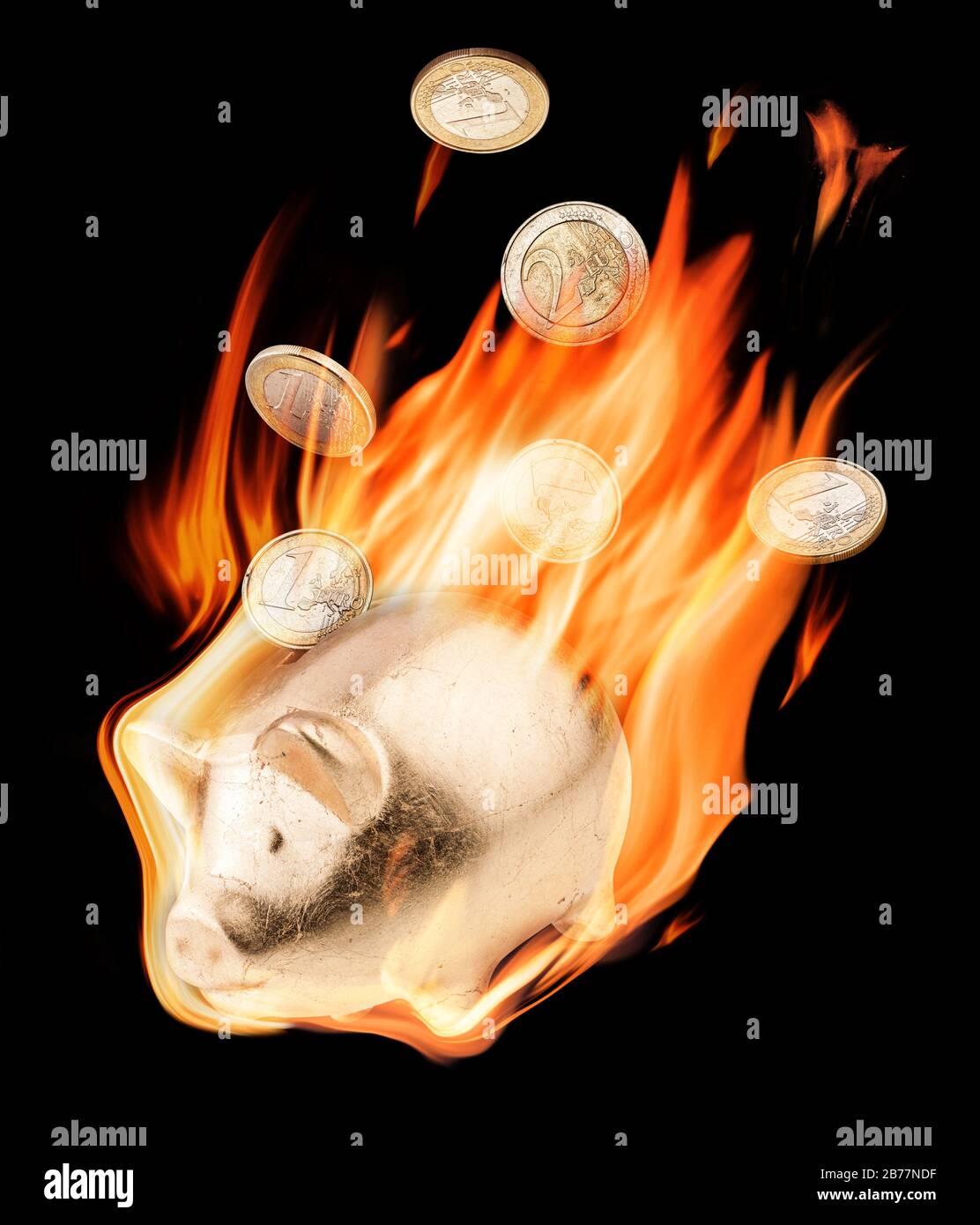 Burning money box and euro coins in flames on the black background. Conceptual photo. Stock Photo