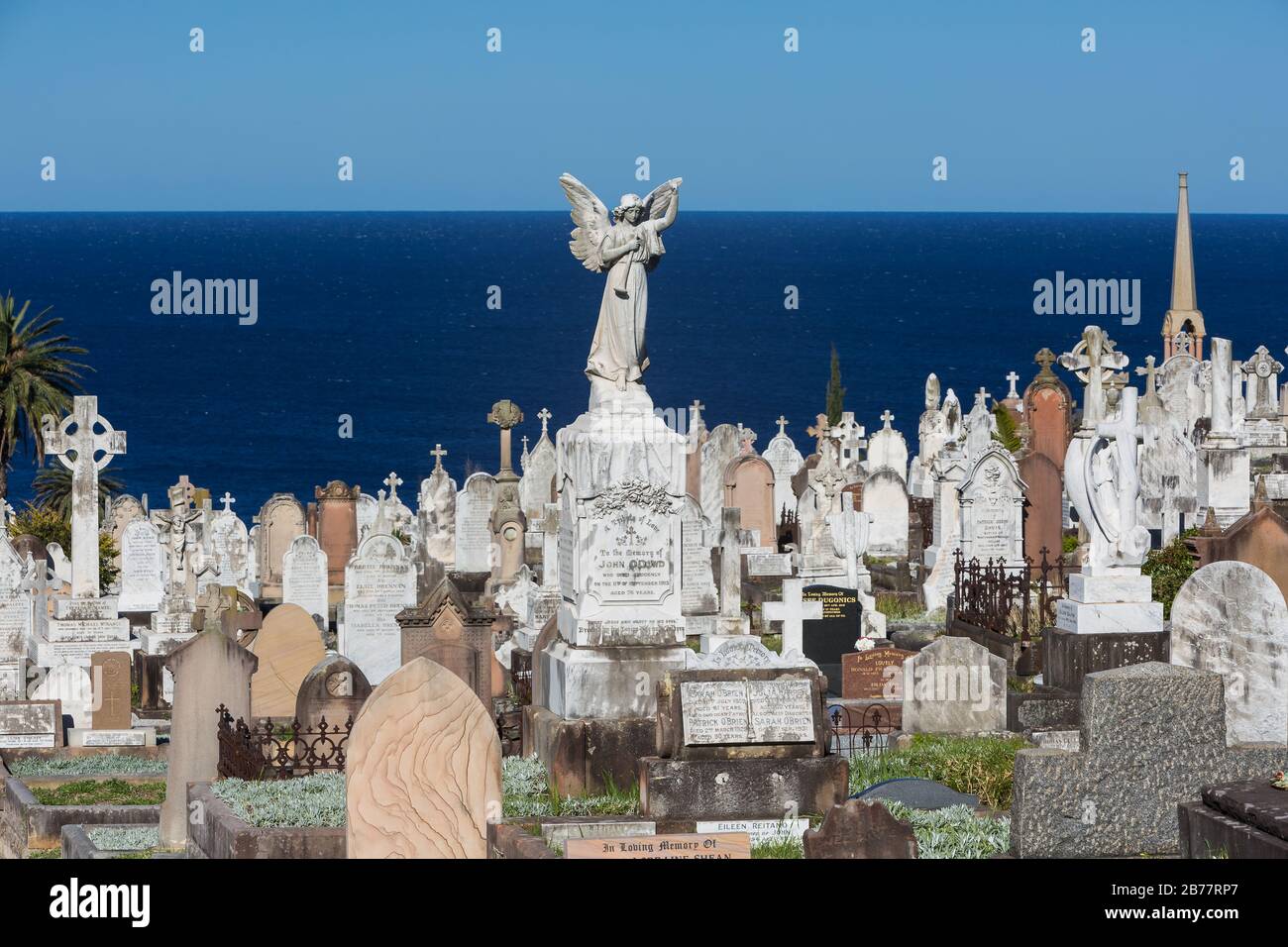 The Waverley Cemetry is a heritage-listed cemetry on top of the cliffs at Bronte in the eastern suburbs of Sydney, NSW, Australia. The coastal walk wa Stock Photo