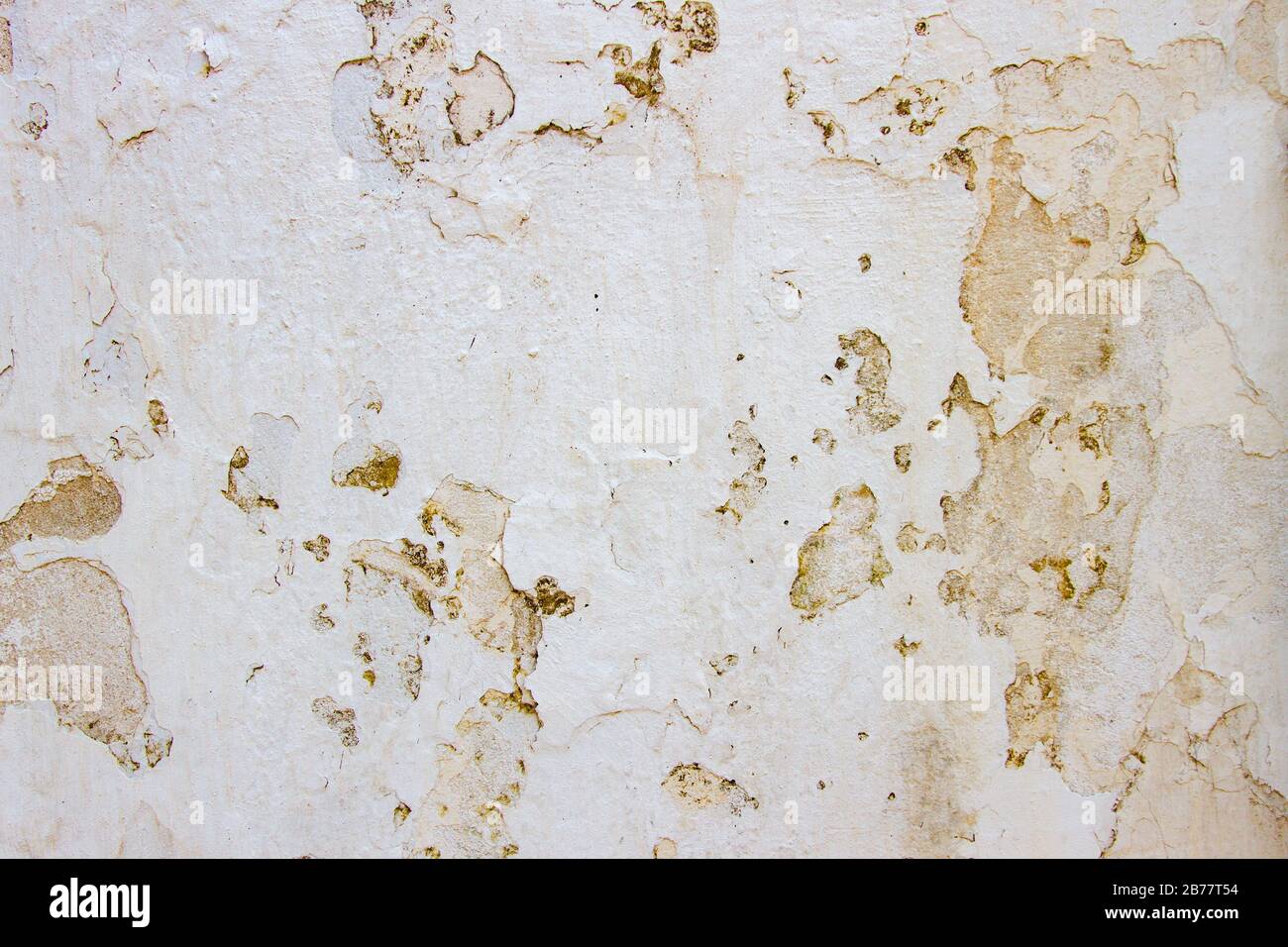 beige corrupted plaster wall texture background Stock Photo