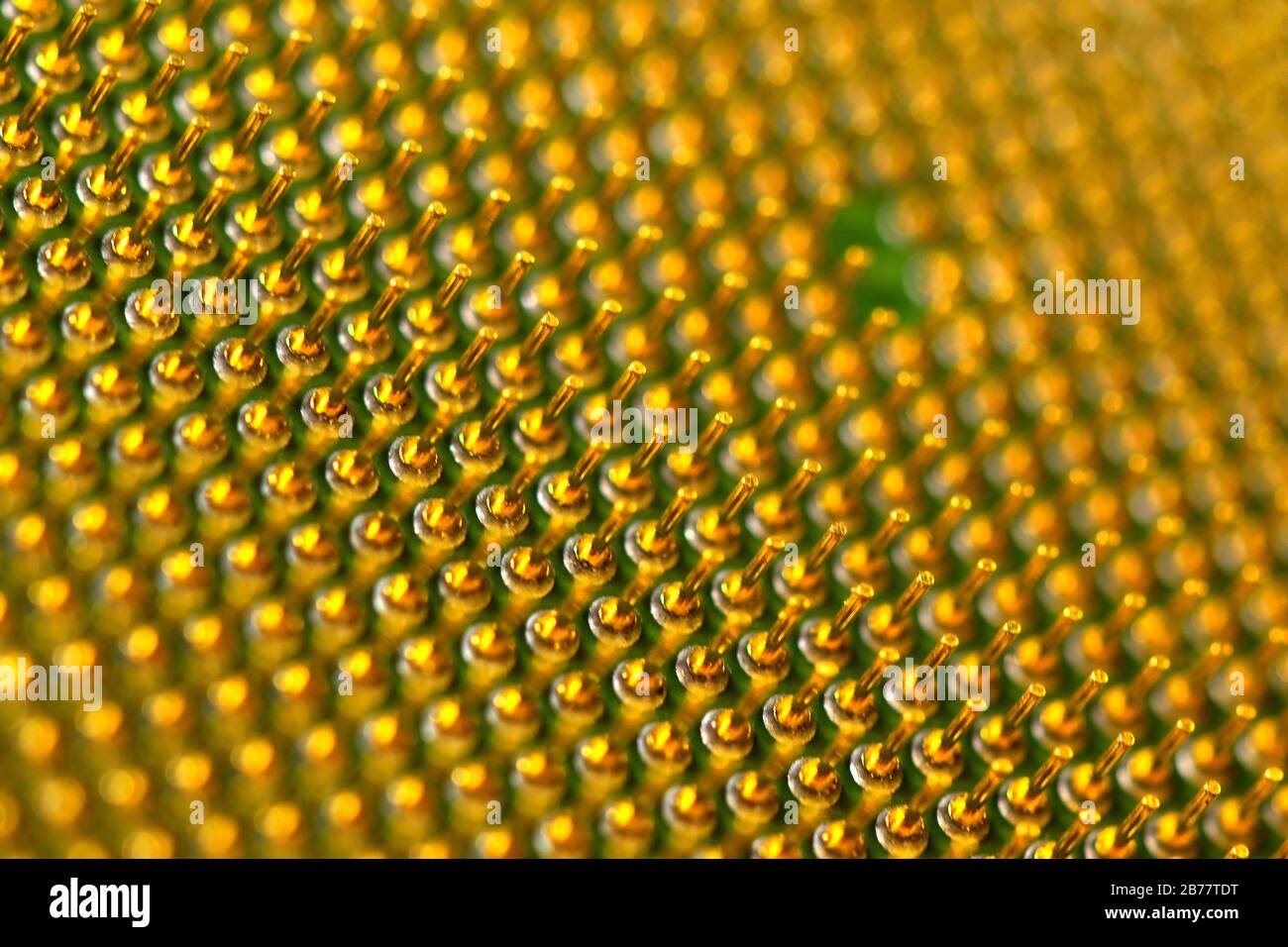 Pins of central processor unit. CPU close-up. Bottom side. Stock Photo