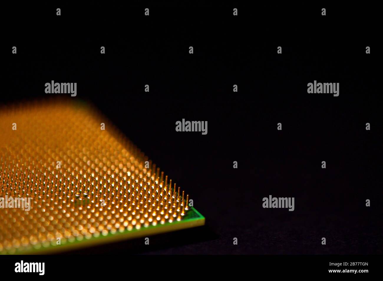 CPU pins. Central processor unit upside-down on a black background. Copy space. Stock Photo