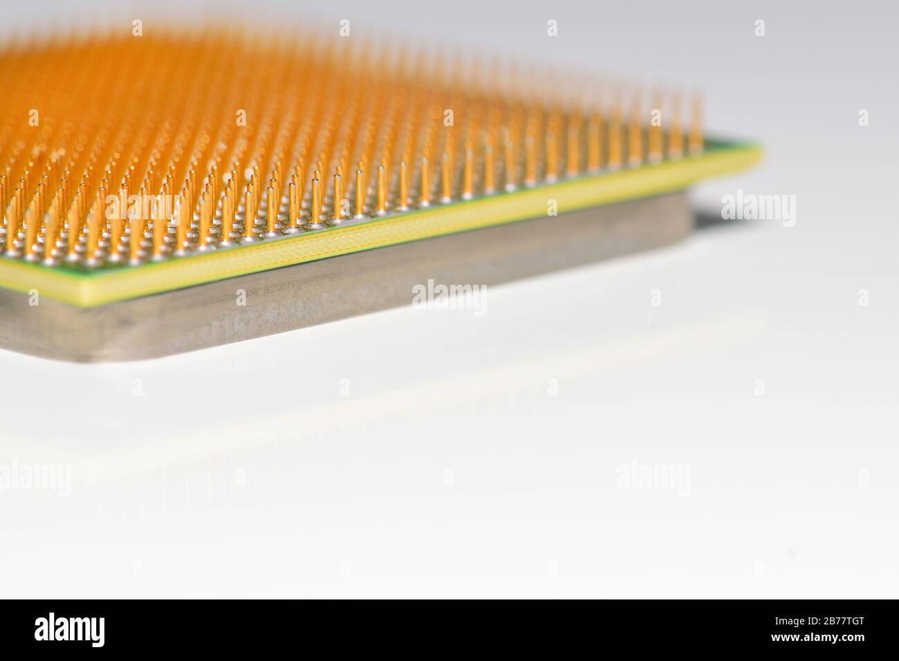 CPU - central processor unit. Golden pins of a core. Copy space. Shallow depth of field. Stock Photo
