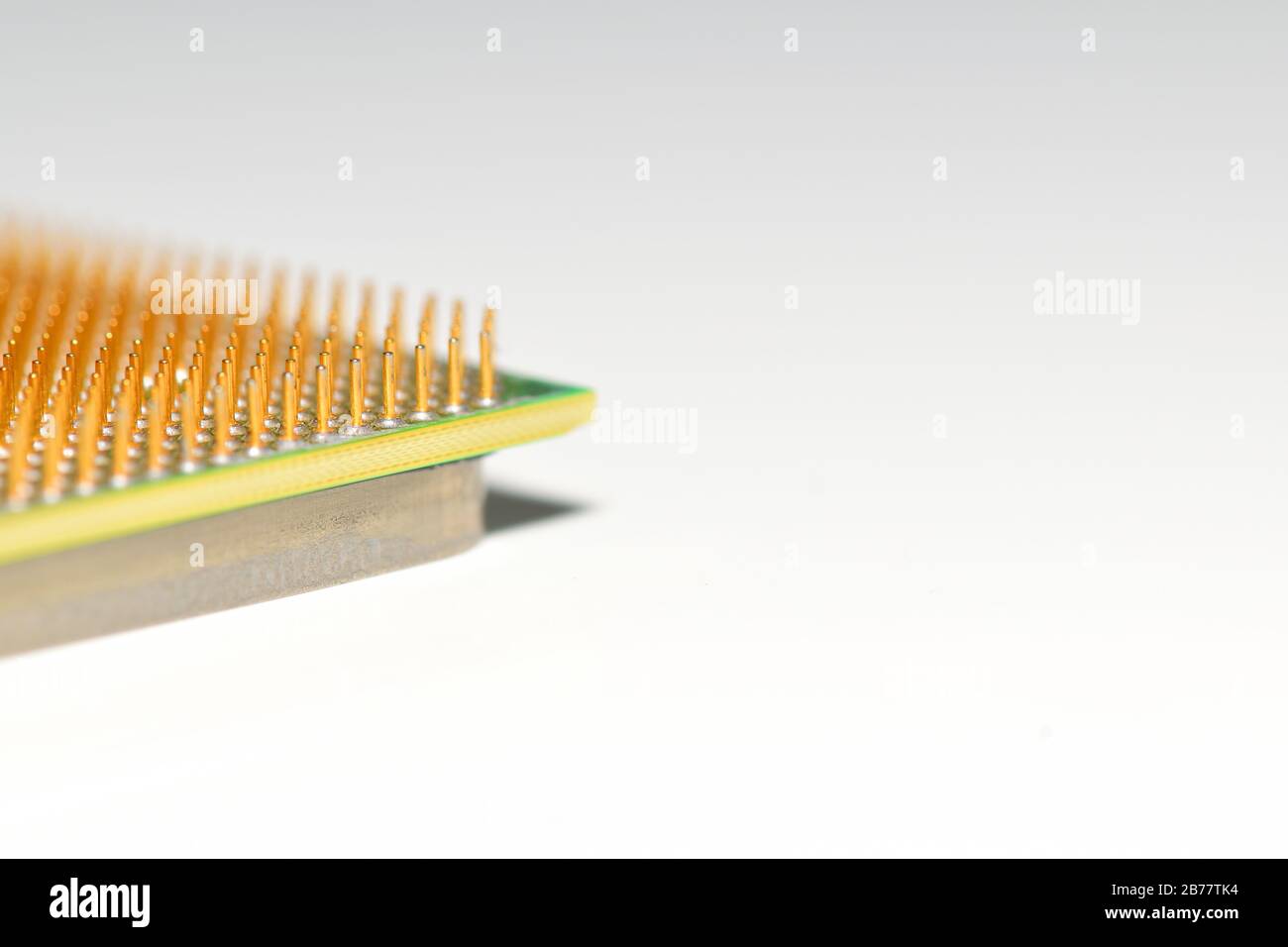 Central processor unit. Golden pins of a core. Copy space. Shallow depth of field. White background. Stock Photo