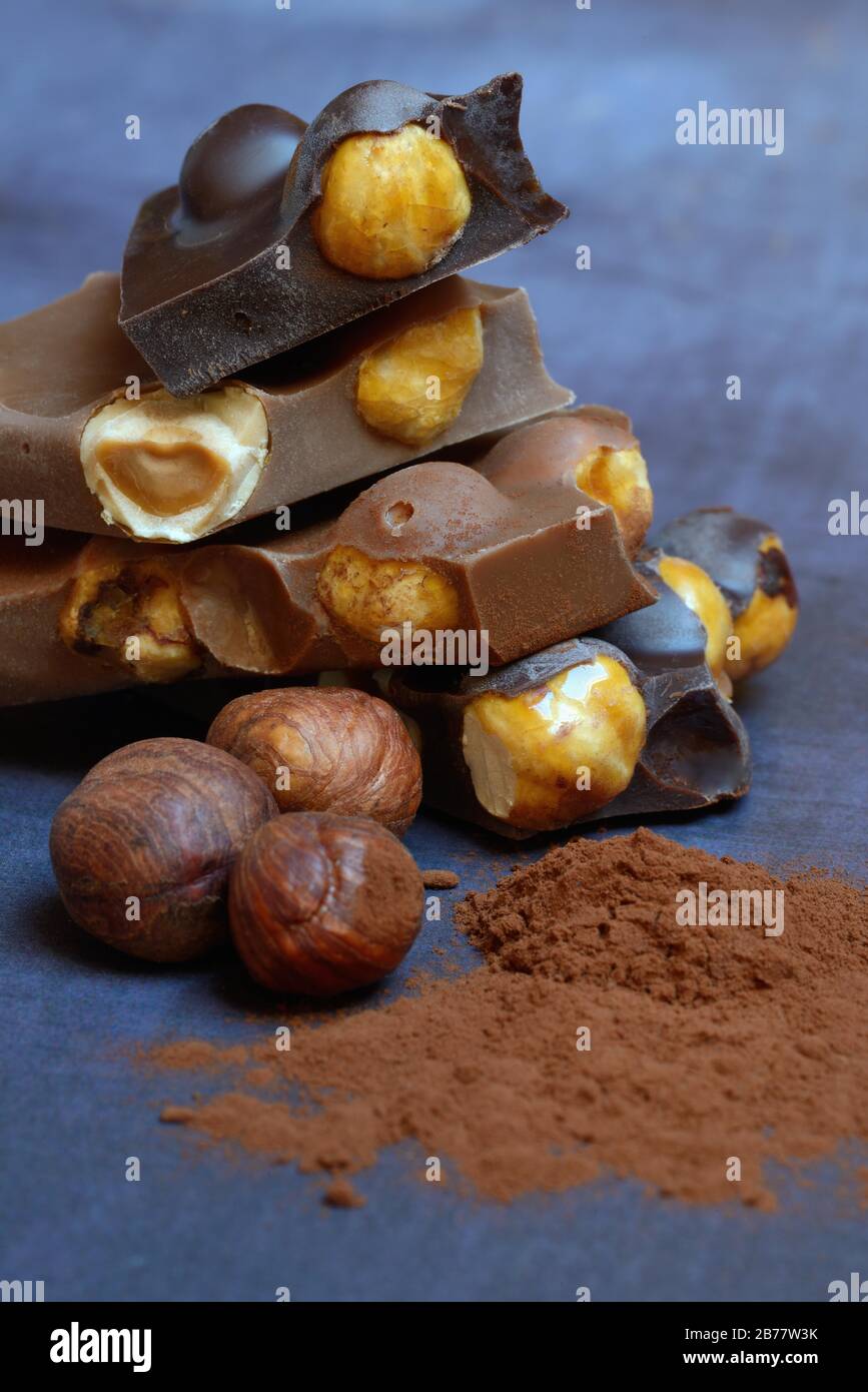 Chocolate with whole hazelnuts, hazelnuts and cocoa powder, Germany Stock Photo Alamy