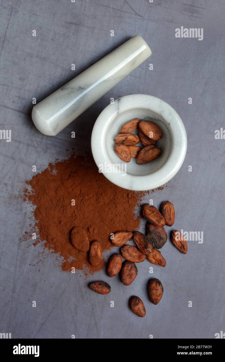 Cocoa beans in grated shell and cocoa powder with cocoa beans, Germany Stock Photo