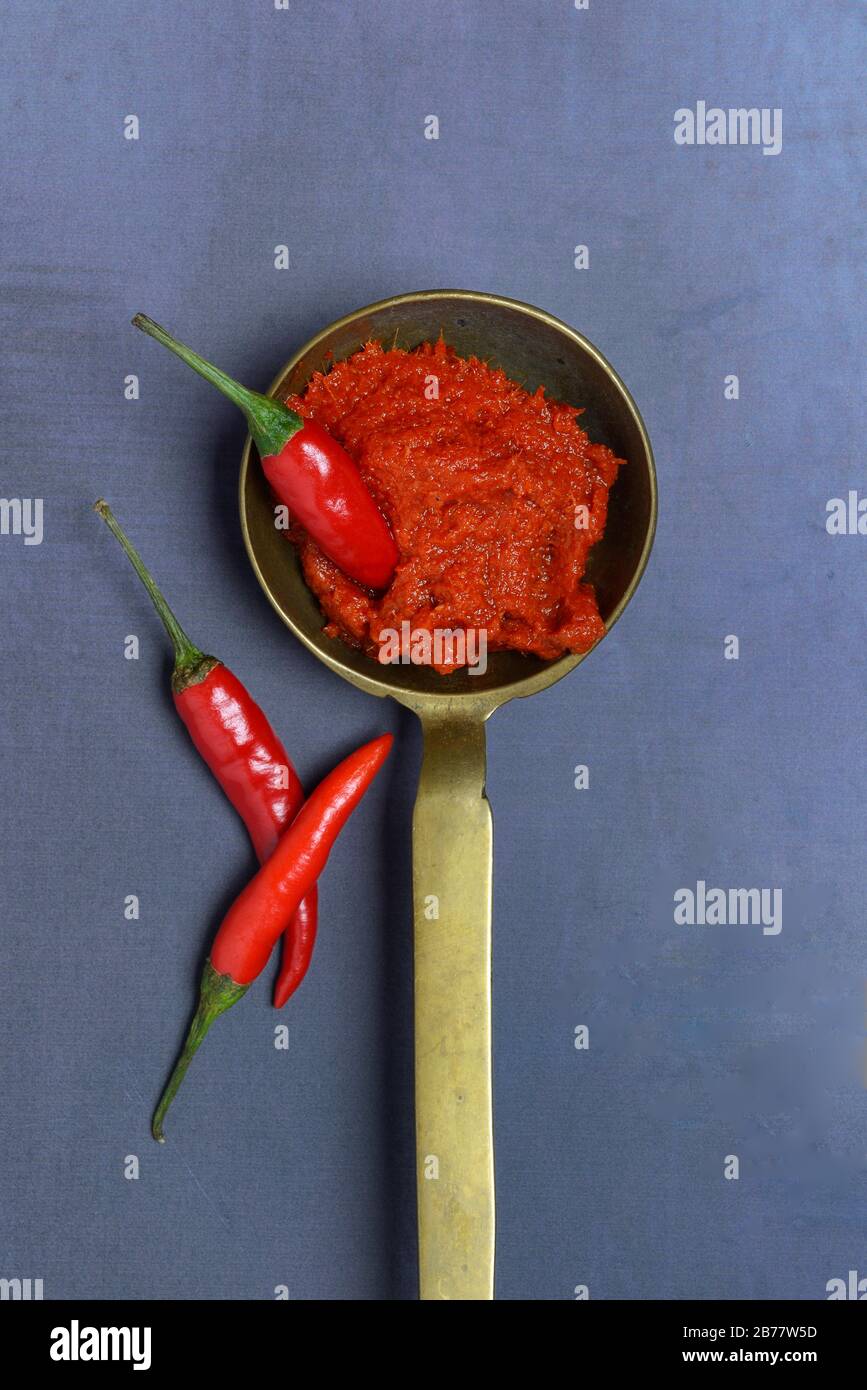 Red Thai curry paste in brass ladle and chilli peppers, Germany Stock Photo