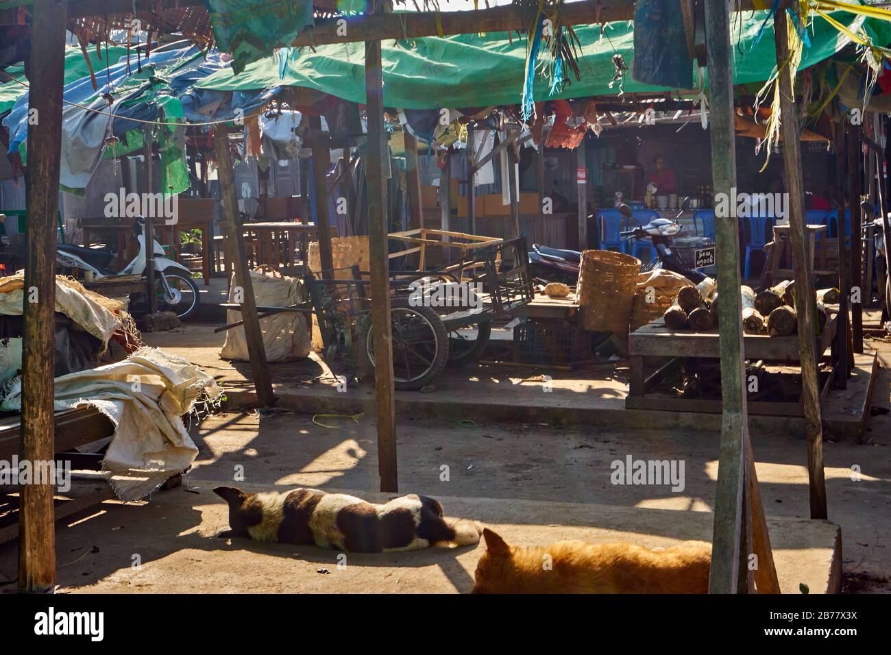 Schlafende Hund, Marktstände, Thiri-Mingalar-Markt, Loikaw, Kayah Staat, Myanmar Stock Photo