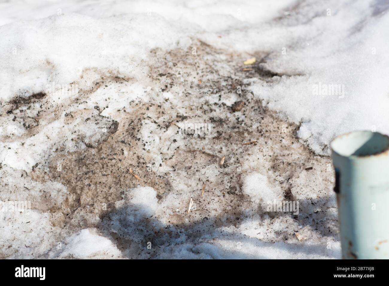 Spring snowdrift with dirty melted snow Stock Photo