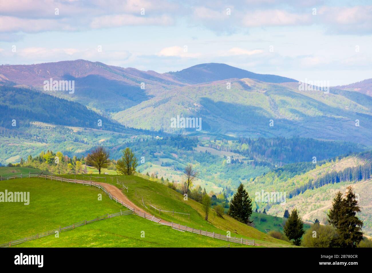 rural landscape in mountains. trees along the path through grassy hill ...