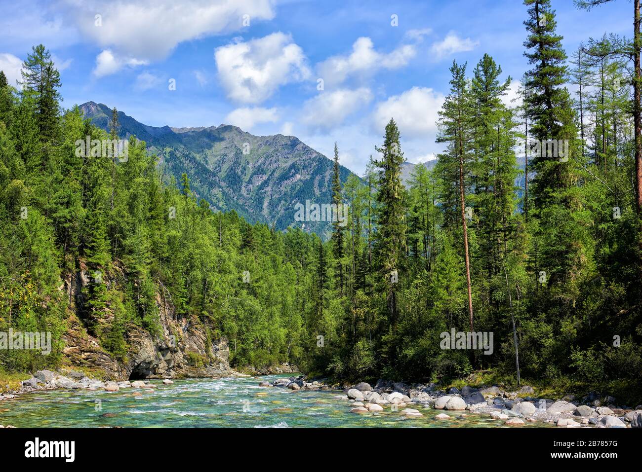 Boreal forest and shallow mountain stream. Summer landscape in Eastern Siberia. Sayan mountains. Buryatia. Russia Stock Photo