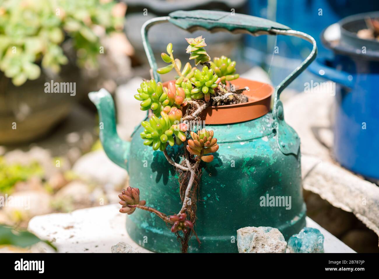 Reused planter ideas. Second-hand kettles, saucepans, old teapots turn into garden flower pots. Recycled garden design and low-waste lifestyle. Stock Photo