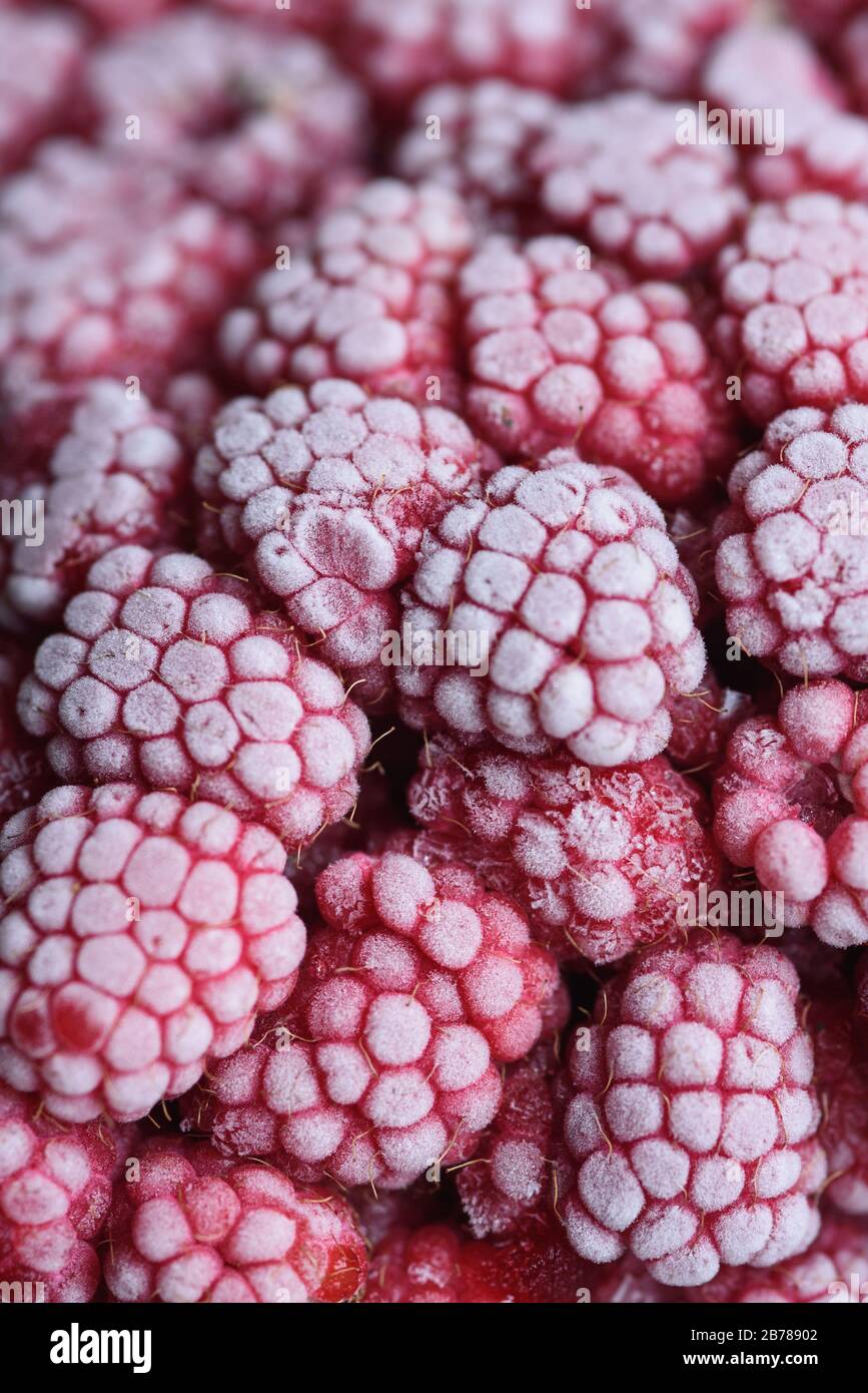 Food background. Freshly frozen raspberries, turned into a juicy piece of ice during freezing. Stock Photo