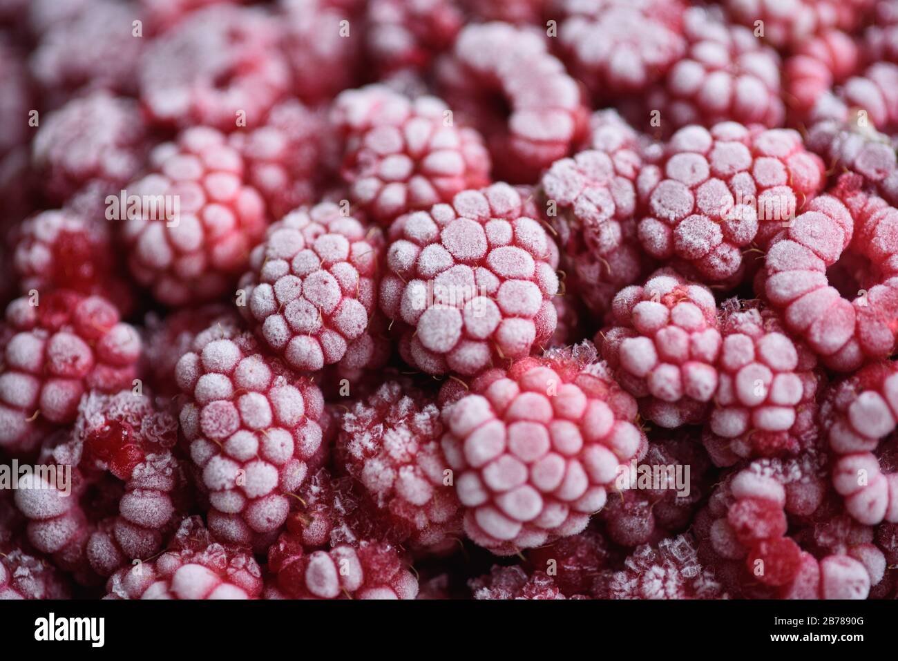 Food background. Freshly frozen raspberries, turned into a juicy piece of ice during freezing. Stock Photo