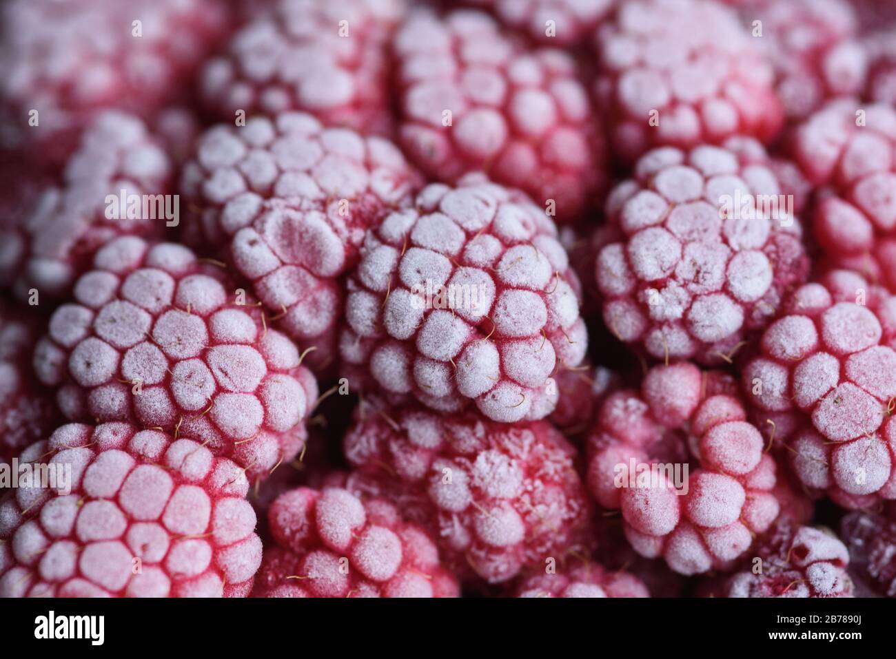 Food background. Freshly frozen raspberries, turned into a juicy piece of ice during freezing. Stock Photo