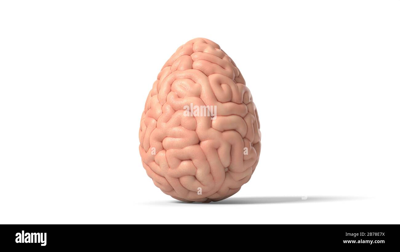 easter egg as human brain. suitable for brain, biology, medicine, science and easter themes. 3D illustration Stock Photo