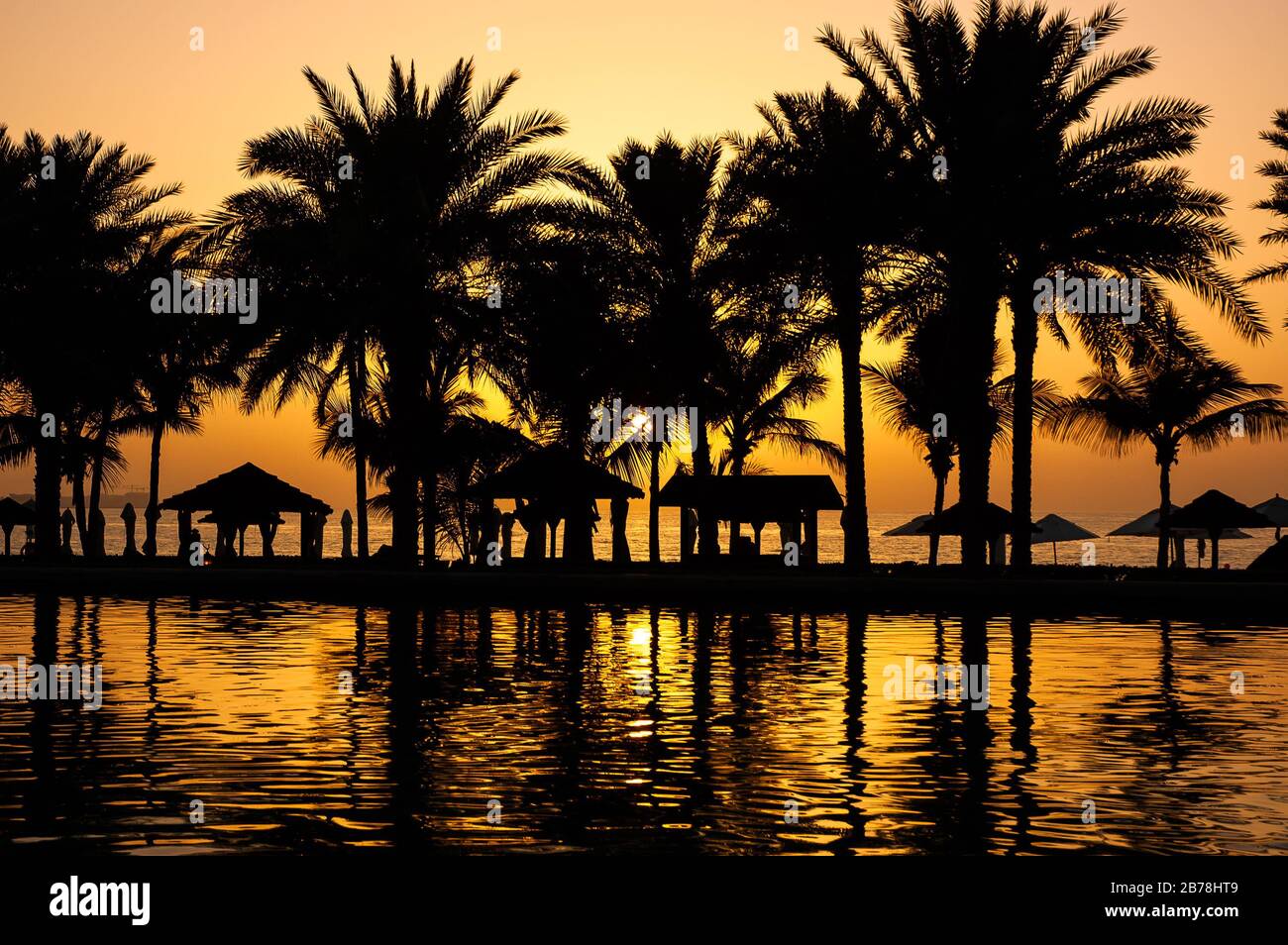 Sunrise through palm trees hi-res stock photography and images - Alamy