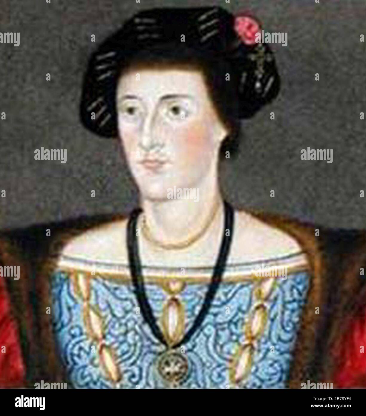 Gerald Fitzgerald 9th Earl of Kildare Stock Photo Alamy