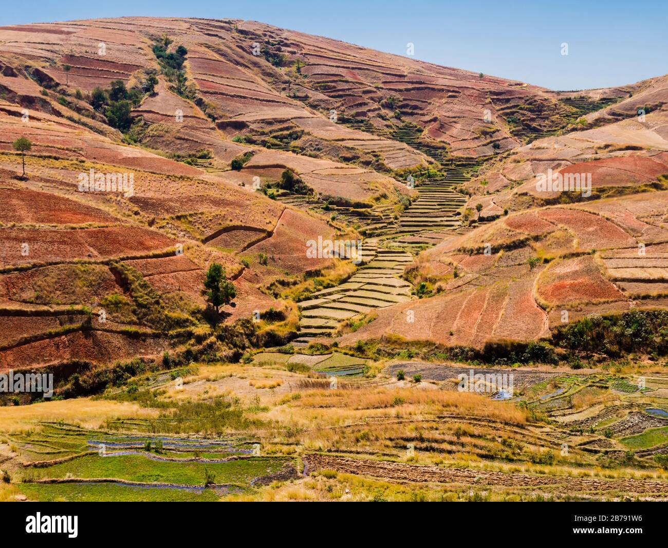 Rolling hills with terraced rice paddy fields in the highlands of Madagascar Stock Photo