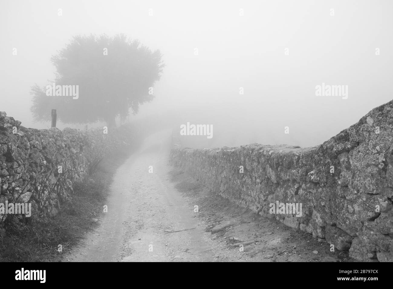 Landscape with fog near Montanchez. Extremadura. Spain. Stock Photo