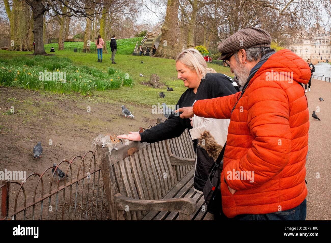 People Feeding Birds & Squirrels In St James Park, Westminster, London