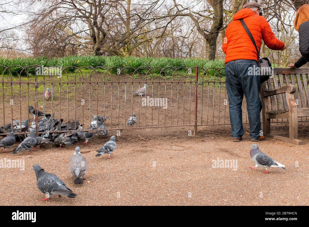 People Feeding Birds & Squirrels In St James Park, Westminster, London