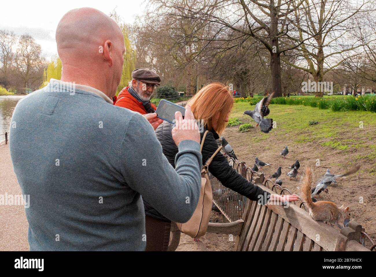 People Feeding Birds & Squirrels In St James Park, Westminster, London