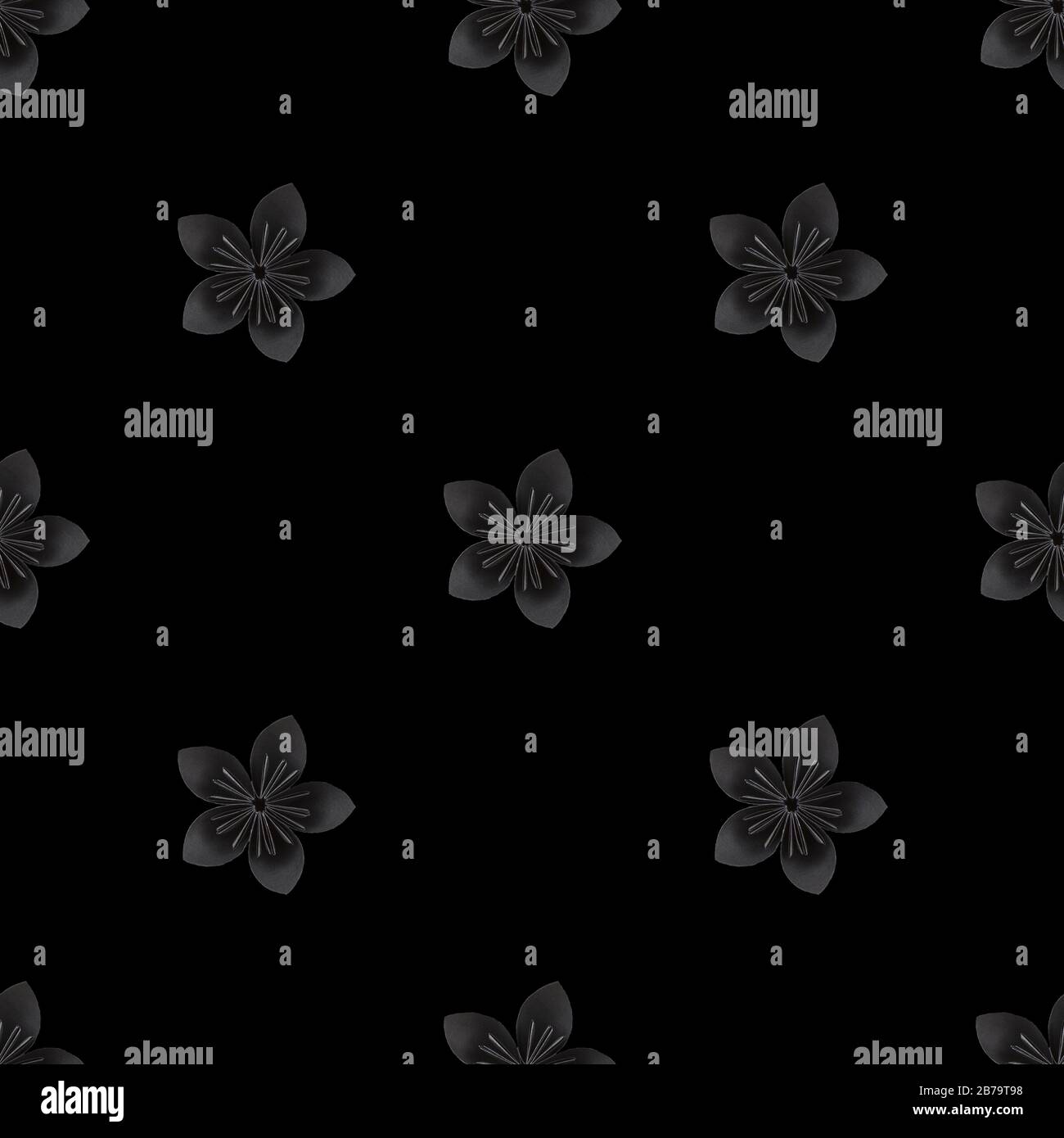 pattern with black paper flower on black background. Flat lay, top view, view from above. Photographic collage and seamless pattern Stock Photo