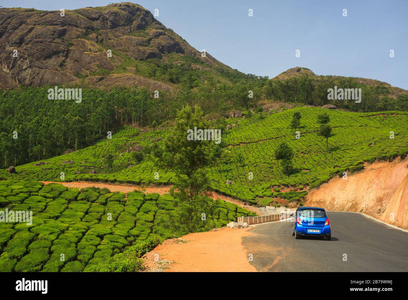 Winding road along the beautiful tea plantations in Munnar hills (Kerala, India) Stock Photo