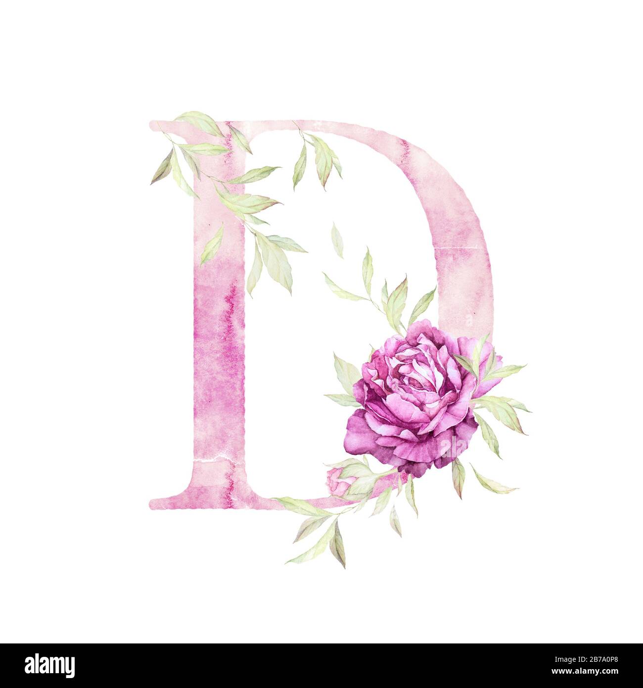 Big Letter D. Alphabet. Light Pink. Floral decor. Watercolor. White Background. Print quality Stock Photo