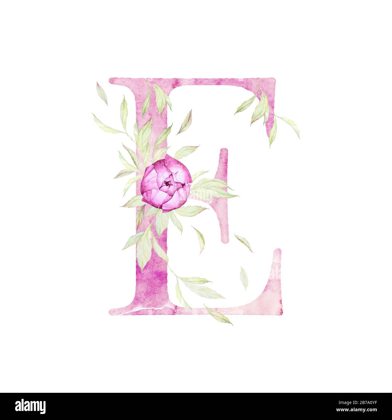 Big Letter E. Alphabet. Light Pink. Floral decor. Watercolor. White Background. Print quality Stock Photo